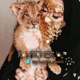 تبادل نشر +اشتراك ***?******?***