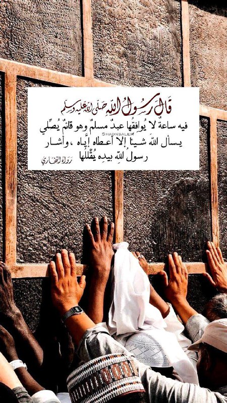 ريـــــــــان الشــعيفــانــي🇸🇦