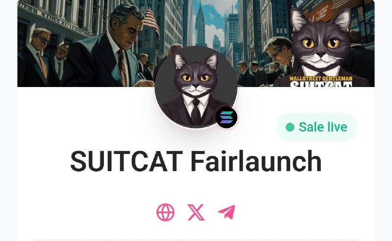 **SOL ***🟡******🟡**********🔥*****[**#suitcat**](?q=%23suitcat)**, pinksale fairlaunch,** *****🔥*******,meme, giving …