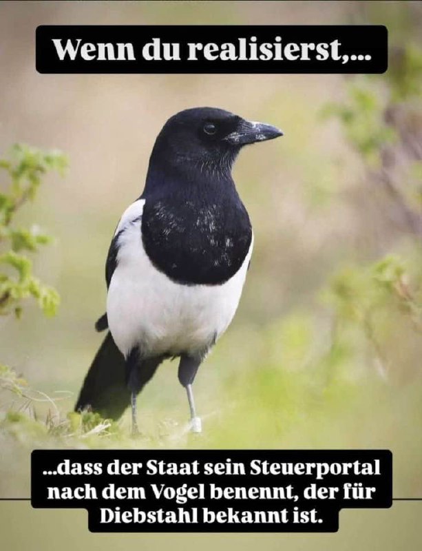 Ergänzung, ganz wichtig!!! -&gt; "der sog. …