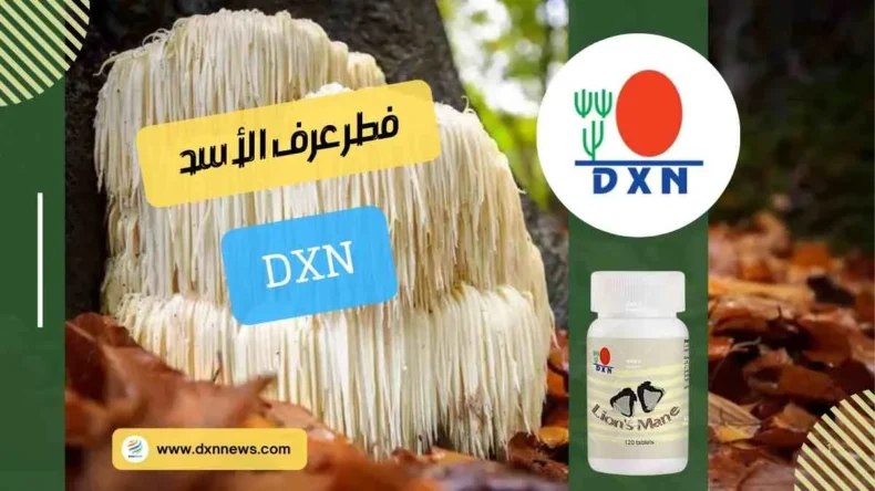 [https://dxnnews.com/فطر-عرف-الأسد-dxn-أضراره-وفوائده/](https://dxnnews.com/%D9%81%D8%B7%D8%B1-%D8%B9%D8%B1%D9%81-%D8%A7%D9%84%D8%A3%D8%B3%D8%AF-dxn-%D8%A3%D8%B6%D8%B1%D8%A7%D8%B1%D9%87-%D9%88%D9%81%D9%88%D8%A7%D8%A6%D8%AF%D9%87/)