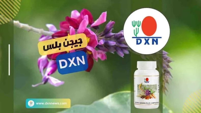 [https://dxnnews.com/جيجن-بلس-dxn-فوائده-وأضراره/](https://dxnnews.com/%D8%AC%D9%8A%D8%AC%D9%86-%D8%A8%D9%84%D8%B3-dxn-%D9%81%D9%88%D8%A7%D8%A6%D8%AF%D9%87-%D9%88%D8%A3%D8%B6%D8%B1%D8%A7%D8%B1%D9%87/)