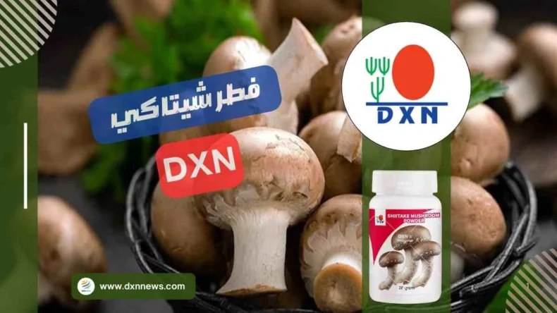 شرحDxn المعلومات الأساسية 1️⃣