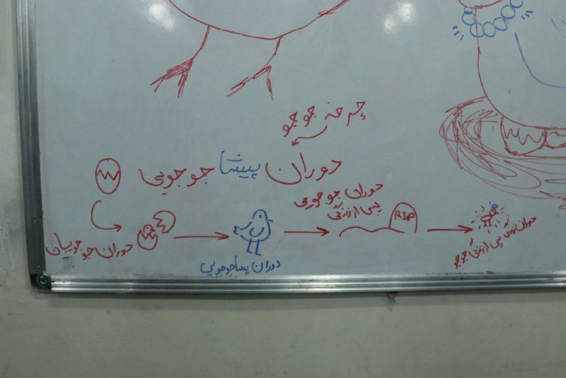 حجم کارا یکم رو بچه هامون …