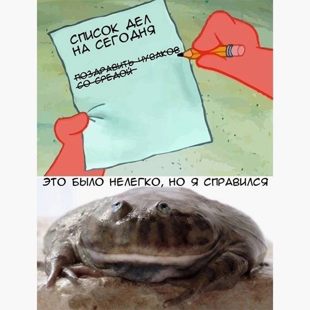 Dzabiý dzień 🐸🕊