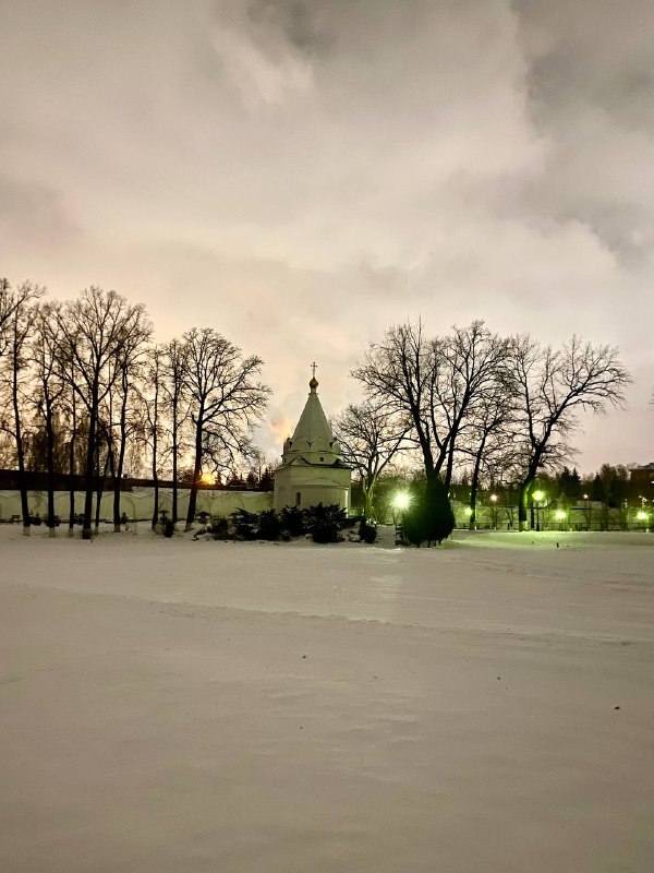 Доброй ночи, город!***🌲***