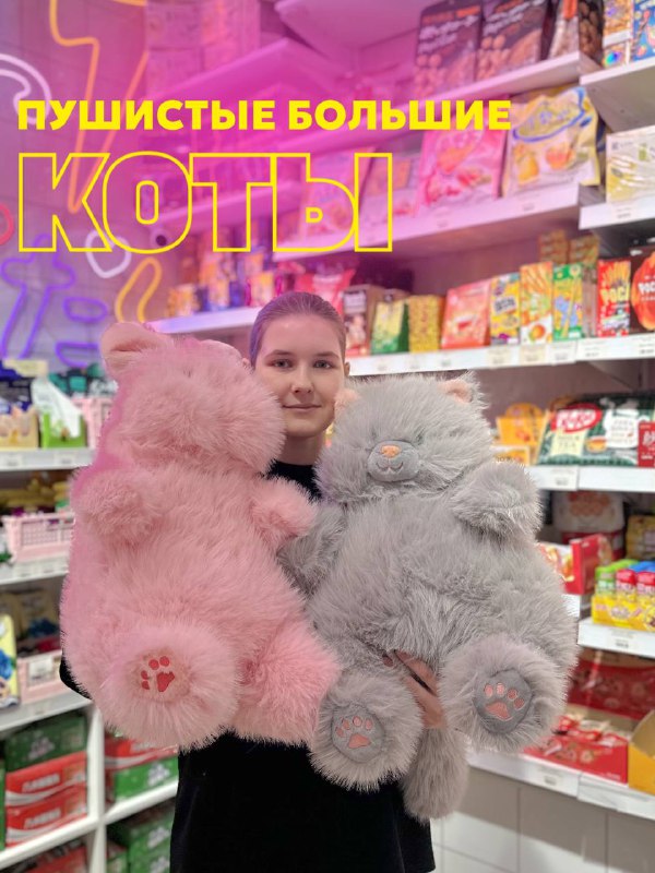 **Пушистые большие коты!** ***🤩***