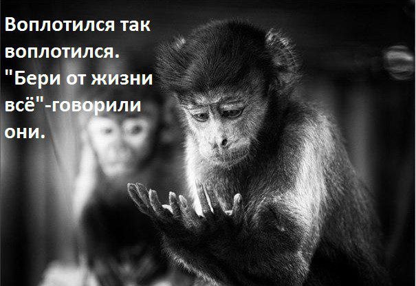Дзогчен материалы