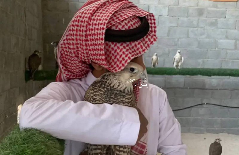 ᷂ثَـراء𓍼ོ.