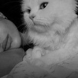[مُلفتة للنظر](https://t.me/+cH9BXBQo0tplOGFh)