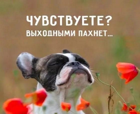 ***💫*****Коллеги, с пятницей!**