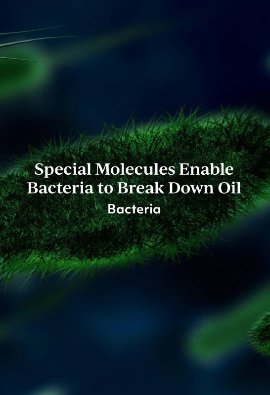 **Unique molecules from bacteria help them …