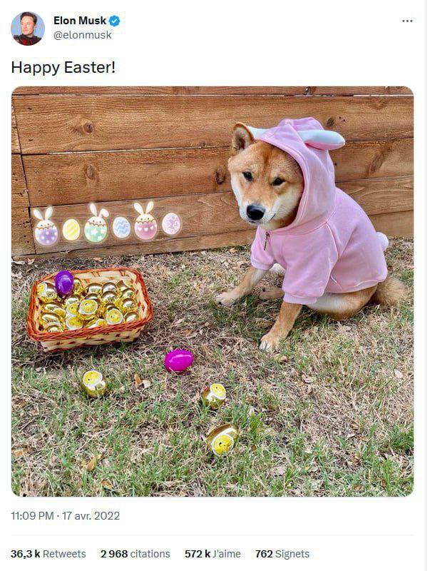 Easter Floki $EFLOKI 🐣 Portal