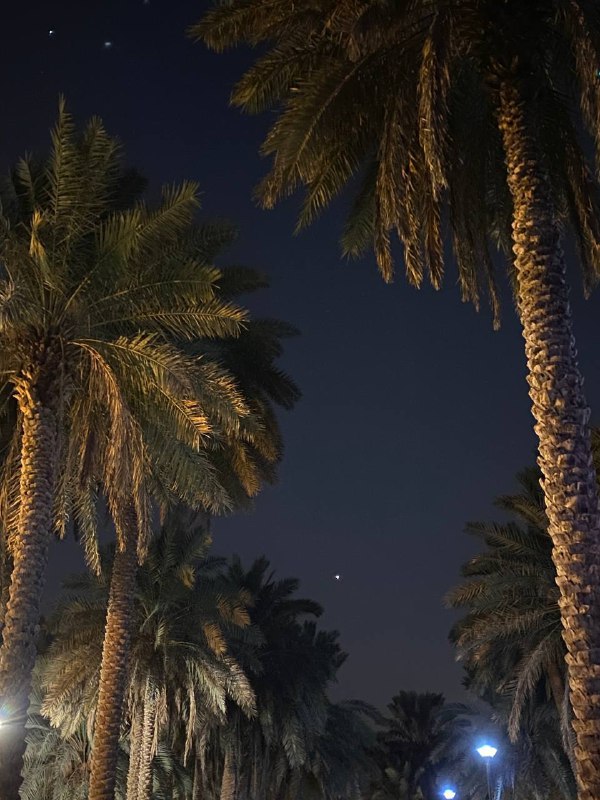 معطُوب.