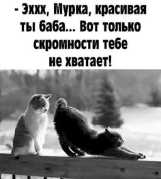 ***🤣*** [ЁиБ | мужской юмор](https://t.me/ebhumor)