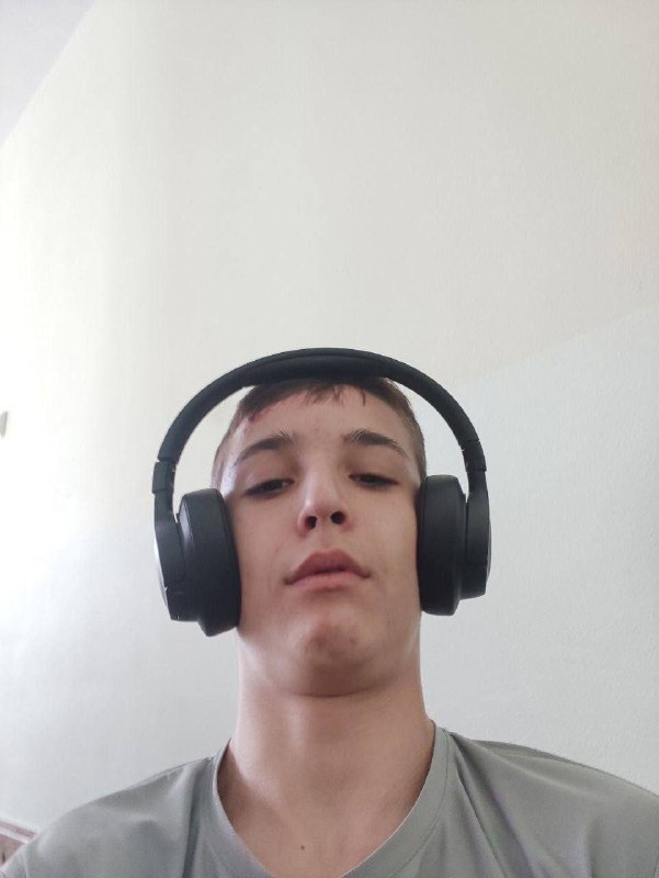 король пту