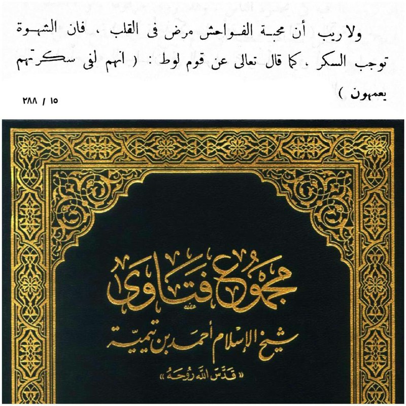 شُيَخِ آلَإسِلَآمً آبًنِ تٌيَمًيَهّ