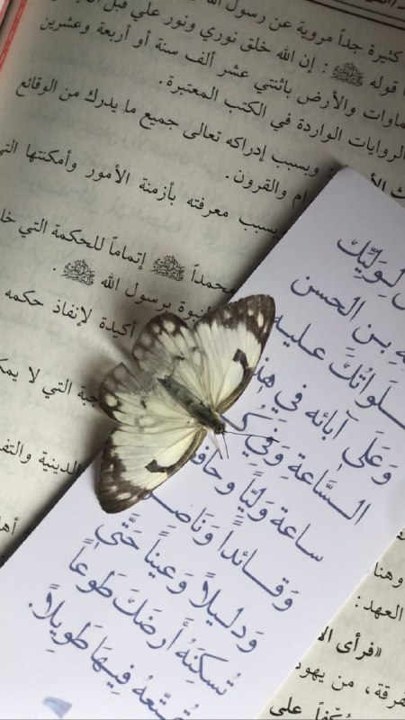 "سَلَامٌ عَلَىٰ إِبْرَاهِيمَ"313