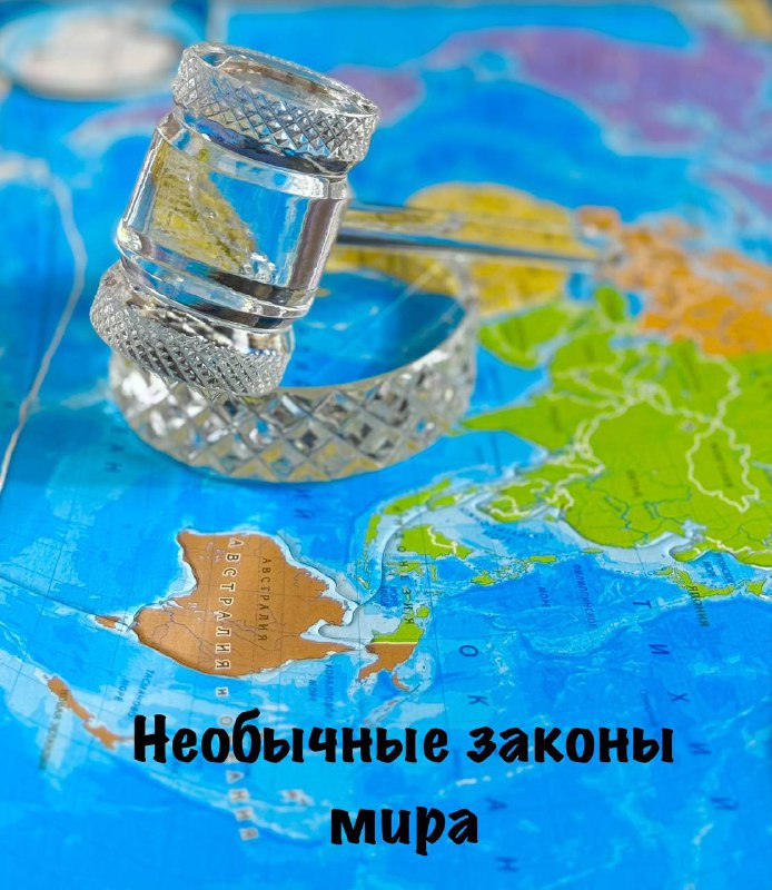 ***🌍*** **Необычные законы мира** ***🌍***