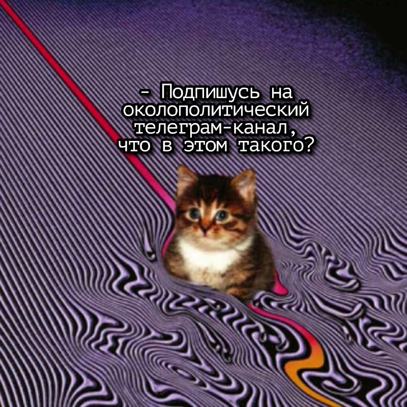 Бауман:ка 🔔🐱