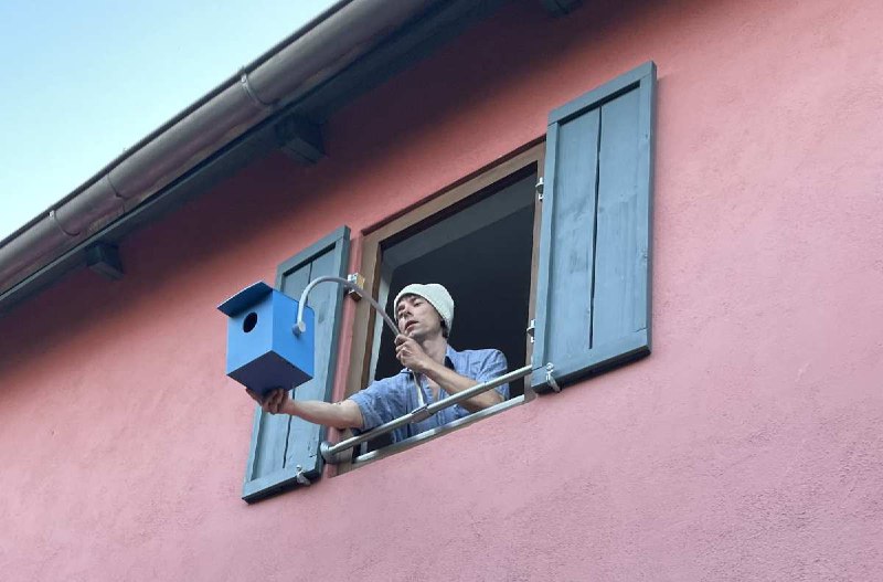 Estudiante alemán inventa refugio para aves …