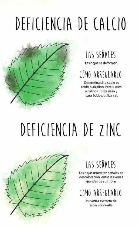 ¡Atención jardineros! ***🌿*** ¿Tus plantas están …