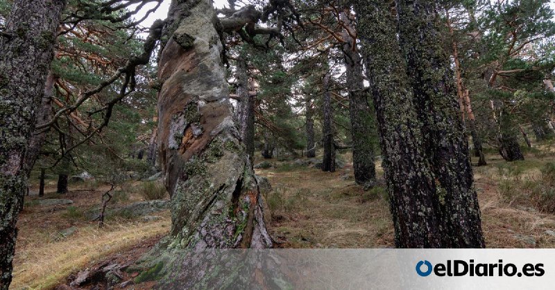 Ecoloxistes n'Aición d'Asturies