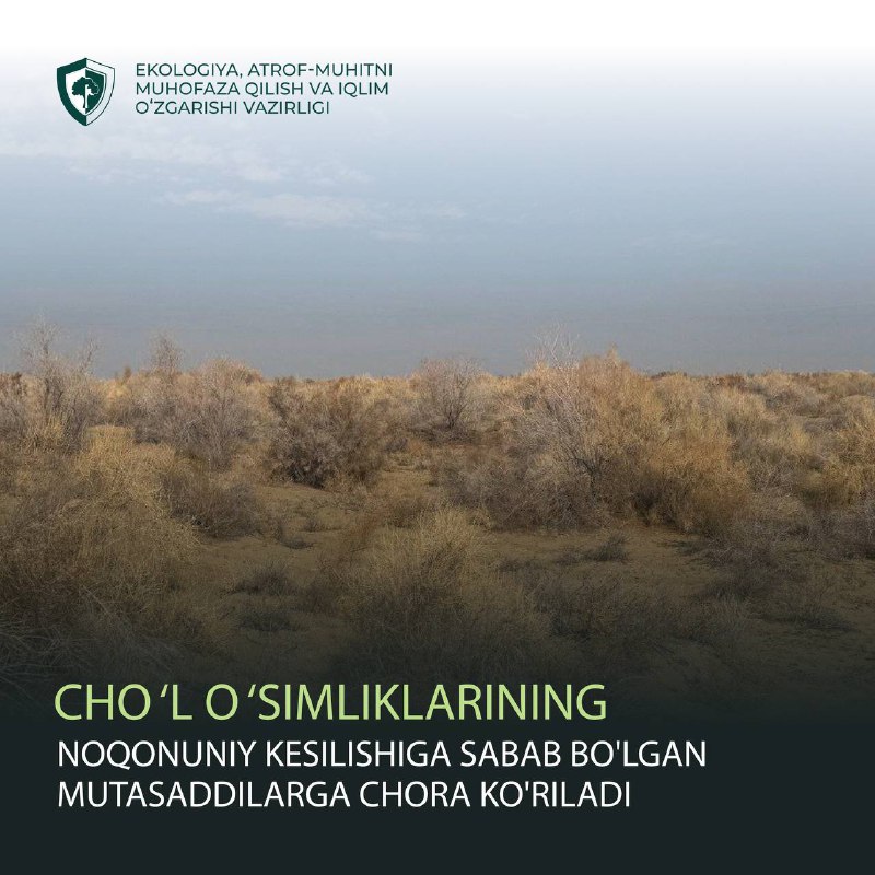 **Choʻl oʻsimliklarining noqonuniy kesilishiga yoʻl qoʻygan …