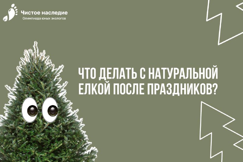 ***🎄*** **Пост для тех, кто встречал …