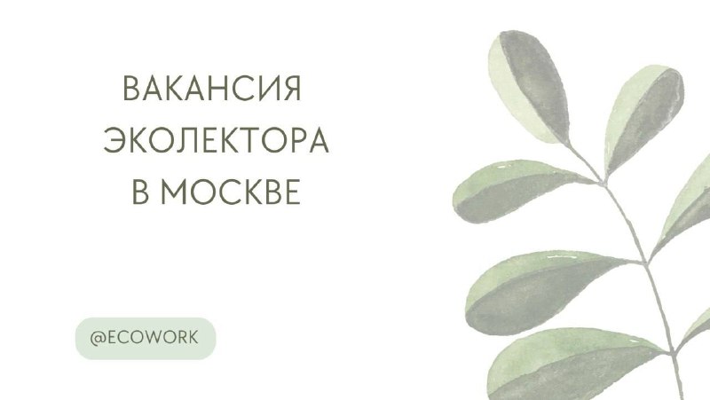 *****📣*** Вакансия эколектора в Москве**