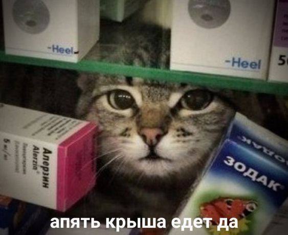 Короче, есть потрясающие новости