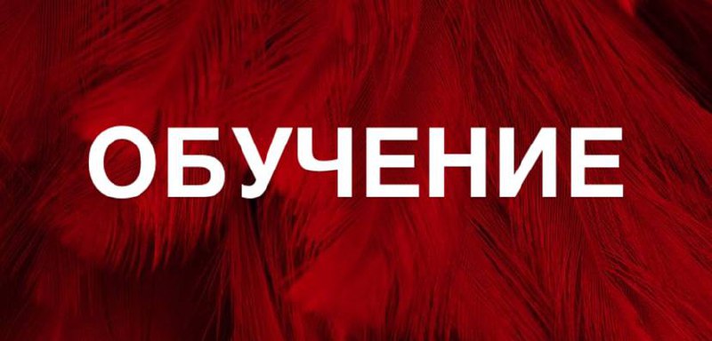 ***1️⃣*** [О КУРСАХ](https://t.me/ED_AM_ED/984)