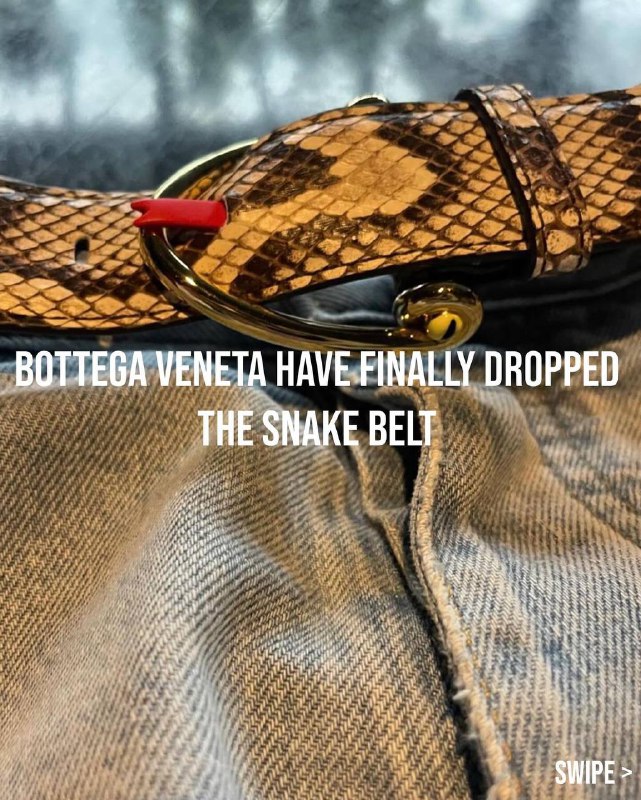 Объект-желания на сегодня: пояс-змейка Bottega Veneta.