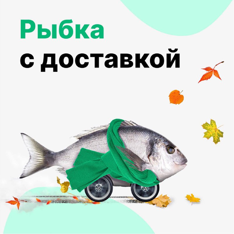 Порыбачим ***🎣******🐟***