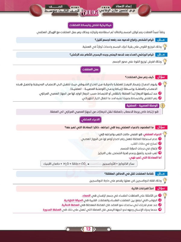 الاحياء || نيمار ابن الانبار