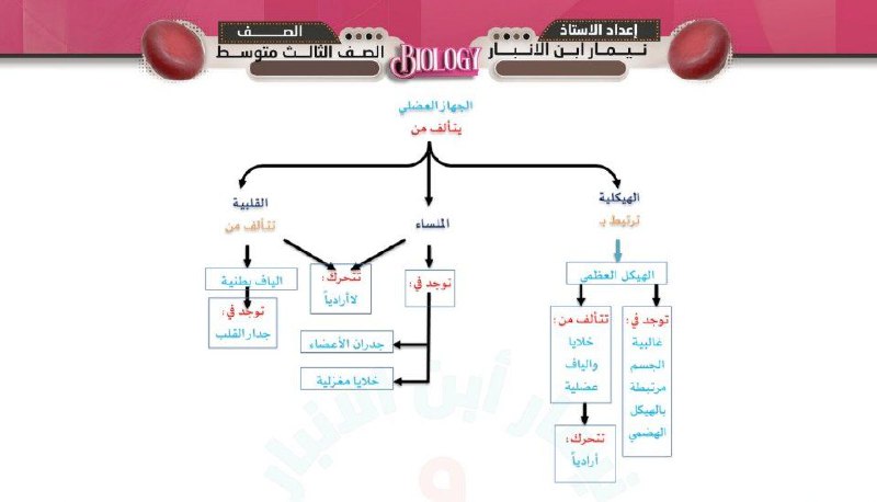 الاحياء || نيمار ابن الانبار