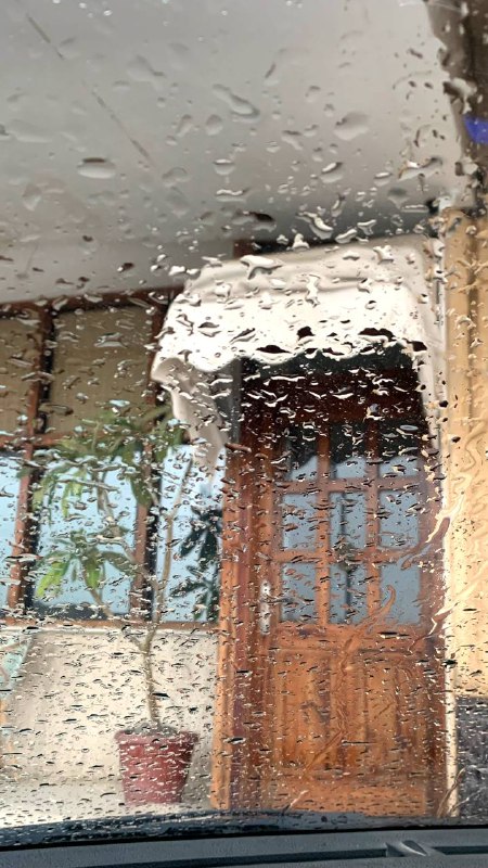 " مطرٌ يهلُّ