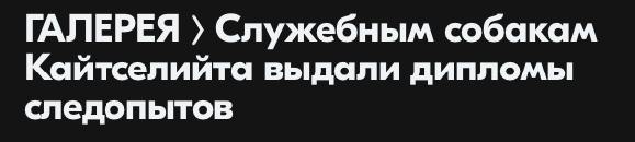 Эстония в заголовках