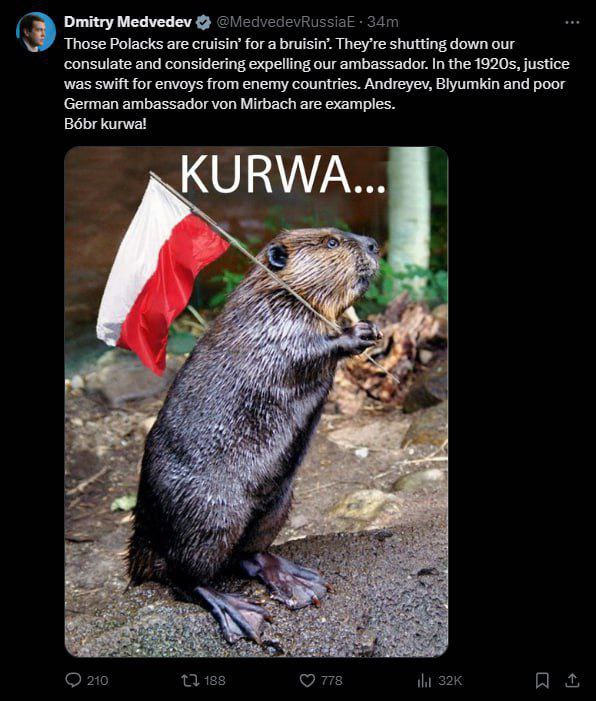 **«‎Bóbr kurwa»,** — ответил Медведев на …