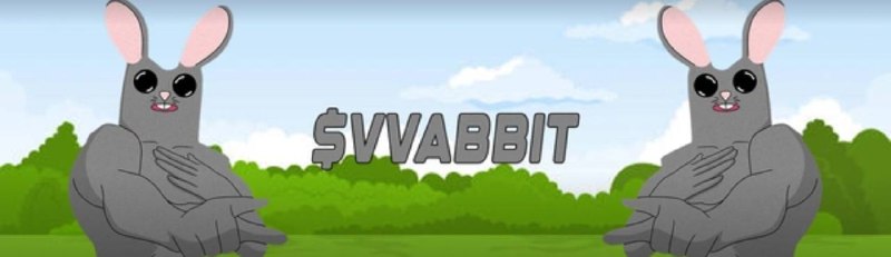 SOL $VVABBIT