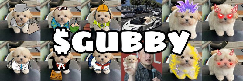 GUBBY is an influential dog on …