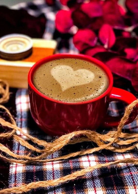 الحياة جميلة ..