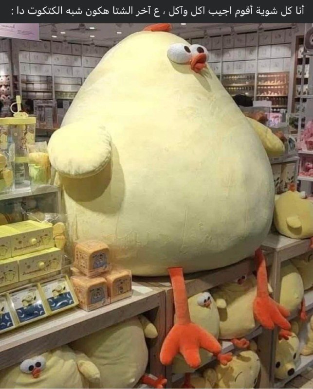 عيش مع الدكترة 🎓