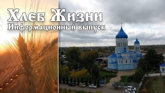 Опубликован новый выпуск епархиальной программы «Хлеб …