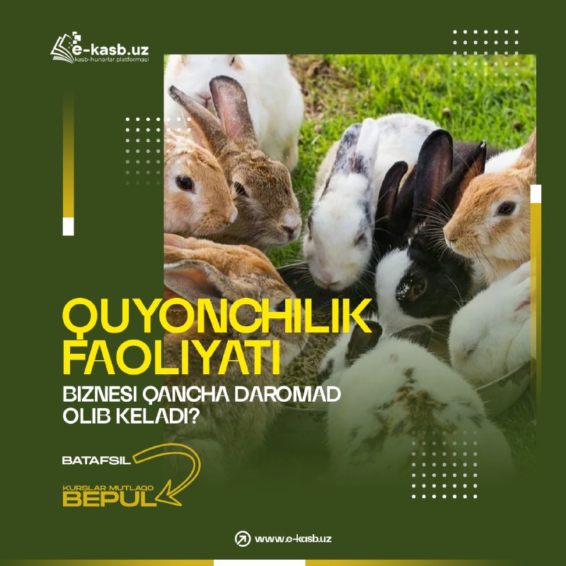 ***🌐*** **Quyonchilik faoliyati bilan shug*‘*ullanishni xohlayapsiz-u, …