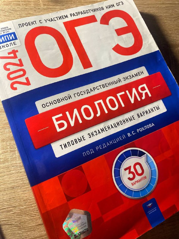 А как вы проводите выходные?)