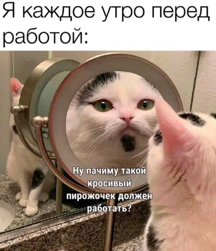 Всем доброго утра и хорошего дня***☕️******☕️******?******?***