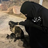 [تبادل واشتراك بالاساسي](https://t.me/el_8910) : [@Ei\_a7l](https://t.me/Ei_a7l) ***?***.