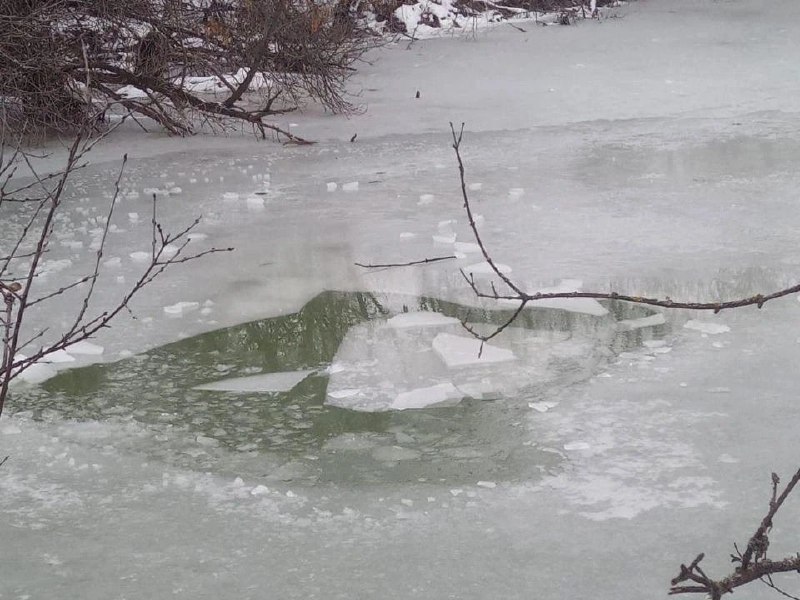 В Киквидзенском районе водолазы ищут пропавшего …