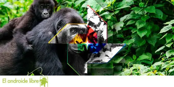[Google Fotos es incapaz de diferenciar gorilas de personas de raza negra 8 años después: los retos que aún tiene …